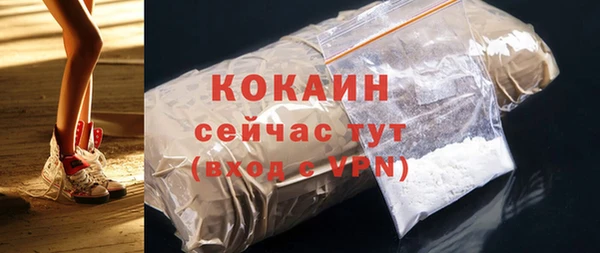 хмурый Богородицк