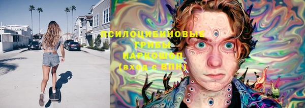 хмурый Богородицк