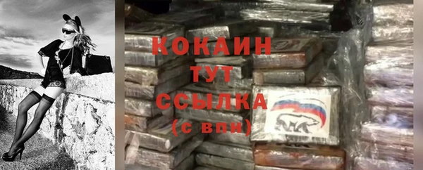 хмурый Богородицк