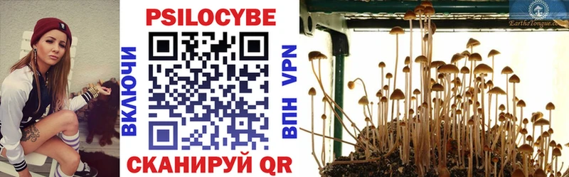 Псилоцибиновые грибы Psilocybine cubensis Купить Балабаново